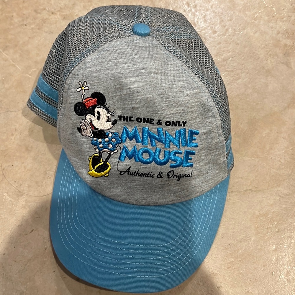 Authentic Blue and Disney Park Snapback Hat